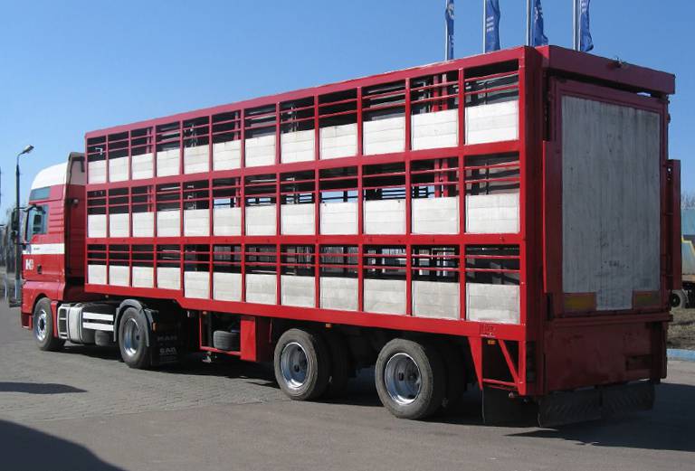 Заказать скотовоз для крупного рогатого скота по Калининграду