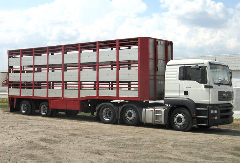 Прицеп для перевозки крупного рогатого скота из Россия, Оренбург в Казахстан, западно-казахстанская область сырымский район поселок жымпиты
